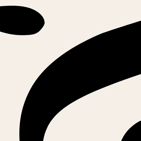 O mesmo detalhe ampliado a partir do SVG vetorial fiel, com borda contínua